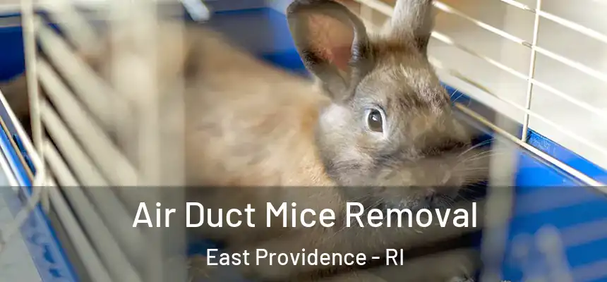Air Duct Mice Removal East Providence - RI