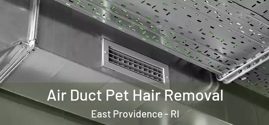 Air Duct Pet Hair Removal East Providence - RI