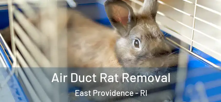  Air Duct Rat Removal East Providence - RI