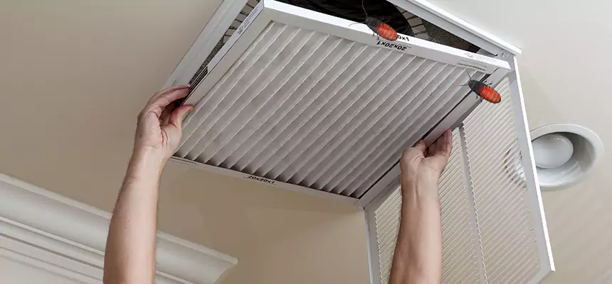 Preventive Cockroach-Proofing for Ducts in East Providence