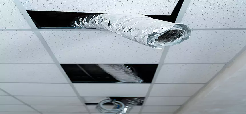 Affordable HVAC Sanitizing After Pest Removal in East Providence