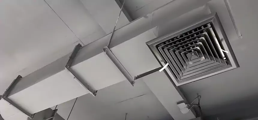 Our Pest Removal From Ducts Services in East Providence, RI