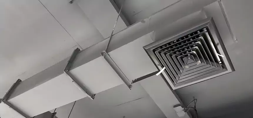 Our Rodent Droppings In Vents Services in East Providence, RI