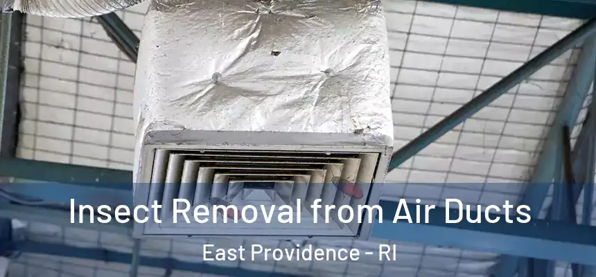 Insect Removal from Air Ducts East Providence - RI