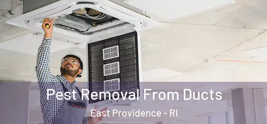Pest Removal From Ducts East Providence - RI