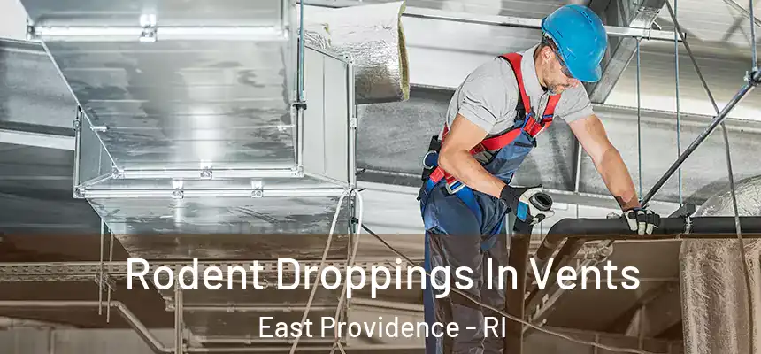  Rodent Droppings In Vents East Providence - RI