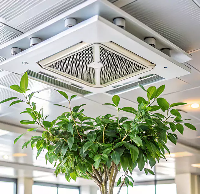 Why Homeowners & Businesses Trust Us in East Providence, RI?